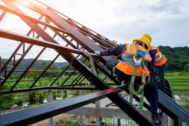 Best Residential Roof Replacement  in Ingalls Park, IL