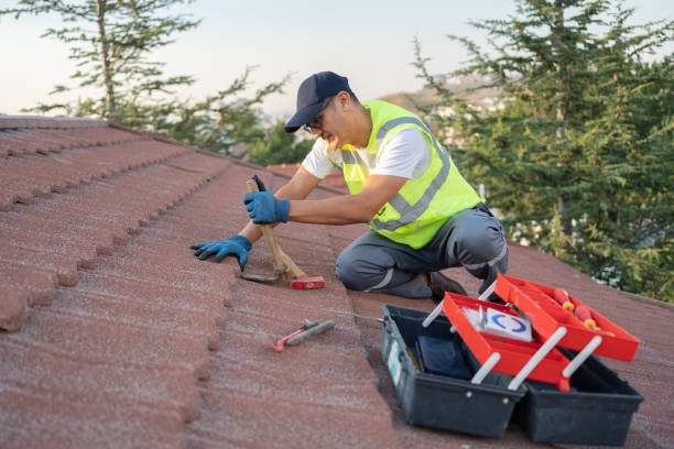 Professional Roofing Contractor in Ingalls Park, IL